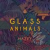 Pochette Glass Animals - Hazey Glass Animals - Hazey