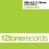 Pochette Milo.Nl & CJ Stone Feat. Lizzy Pattinson - Surrender (Original Mix) Milo.Nl & CJ Stone Feat. Lizzy Pattinson - Surrender (Original Mix)