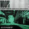 Pochette DJ Bountyhunter - Woops (Dimitri Vegas & Junkie Kid Remix) DJ Bountyhunter - Woops (Dimitri Vegas & Junkie Kid Remix)