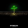 SYNC24 - Skogsrået