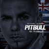 Pochette Pitbull - Alright Intro Pitbull - Alright Intro