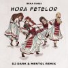 Pochette Irina Rimes - Hora fetelor (Dj Dark & Mentol Remix) Irina Rimes - Hora fetelor (Dj Dark & Mentol Remix)
