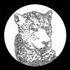 Pochette Tensnake - Need Your Lovin Tensnake - Need Your Lovin