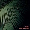 Pochette Au.Ra - Pulse Au.Ra - Pulse