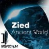 Pochette Zied - Everything Will Come Back (Airzoom Remix) Zied - Everything Will Come Back (Airzoom Remix)
