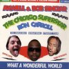 Pochette Axwell and Bob Sinclar (Feat Ron Carroll) - What a wonderful world feat ron car Axwell and Bob Sinclar (Feat Ron Carroll) - What a wonderful world feat ron car