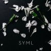 Pochette SYML - Meant to Stay Hid SYML - Meant to Stay Hid