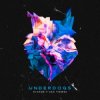 Pochette Evaride & Sam Tinnesz - Underdogs Evaride & Sam Tinnesz - Underdogs