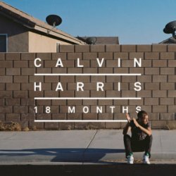 Pochette Calvin Harris & Example - We'll Be Coming Back (Dj Dark & Huge Carter Remix)