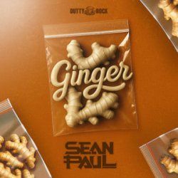 Pochette Sean Paul - Ginger