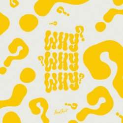 Pochette Tanaka & Lucas Estrada - WHY?