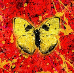 Pochette Ed Sheeran - Shivers