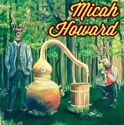 Pochette Micah Howard - Bird's Eye View