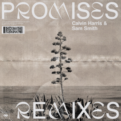 Pochette Calvin Harris;Sam Smith - Promises (David Guetta Remix)