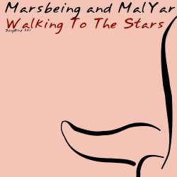 Pochette Marsbeing & Malyar - Walking To The Stars