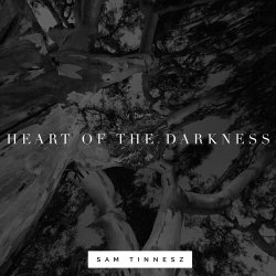 Pochette Sam Tinnesz - Heart of the Darkness