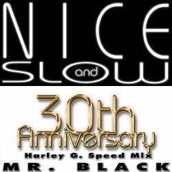 Pochette Mr Black - Nice And Slow (Radio Mix)