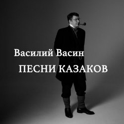 Pochette Вася Васин - Чёрный ворон