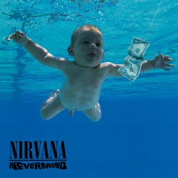 Pochette Nirvana - In Bloom