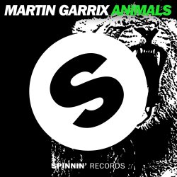 Pochette Martin Garrix - Animals (Original Mix)