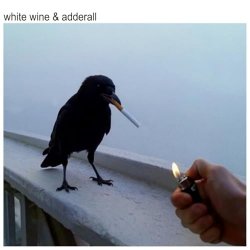 Pochette The Chainsmokers & Beau Nox - White Wine & Adderall