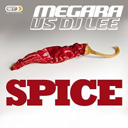 Pochette Megara vs. DJ Lee - Spice (Single Edit)