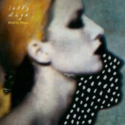 Pochette Sally Dige - Hard To Please