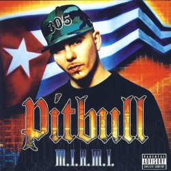 Pochette Pitbull ft. Lil Jon - Culo