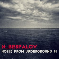 Pochette N_Bespalov - Quarter