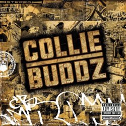 Pochette Collie Buddz - Blind To You (Haters)
