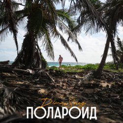 Pochette Dima Sneg - Полароид (Remix)
