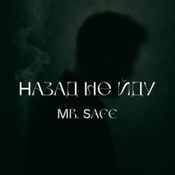 Pochette Mr. Safe - Назад не йду