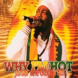 Pochette Jr Reid - Funny Man