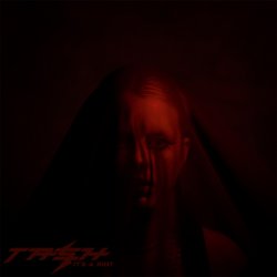 Pochette Dear Tash - It's A Riot