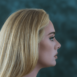 Pochette Adele - Strangers By Nature