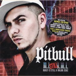 Pochette Pitbull ft. Lil' Flip - Dammit Man (Remix)