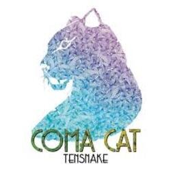 Pochette Tensnake - Coma Cat