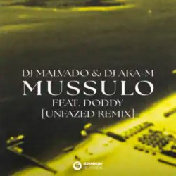 Pochette DJ Malvado & DJ Aka-m & Doddy - Mussulo (unfazed Remix)