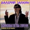 Pochette Валерий Залкин - Одинокая ветка сирени Валерий Залкин - Одинокая ветка сирени