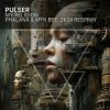 Pochette Pulser - My Religion Pulser - My Religion