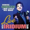 Terese Genecco & Her Little Big Band - I've Got You Under My Skin