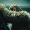 Pochette Beyoncé - Hold Up Beyoncé - Hold Up