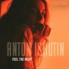 Pochette Anton Ishutin - Into The Night Anton Ishutin - Into The Night
