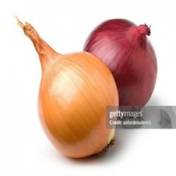 Pochette internetcafe247 - funny onion song