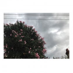Pochette Ceres feat. Japanese Wallpaper - Stretch Ur Skin
