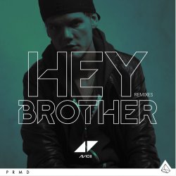 Pochette Avicii - Hey Brother (Syn Cole Remix)