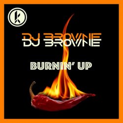 Pochette DJ Brownie - Burnin Up