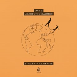 Pochette Bcee, Charlotte Haining - History (Technimatic Remix)