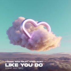 Pochette Tribbs & Sam Feldt & Andy Dust & Dotter - Like You Do (Extended Mix)
