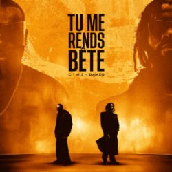 Pochette GIMS & Damso - TU ME RENDS BÊTE